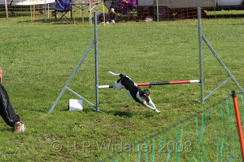 jubil.lusten. 205.jpg